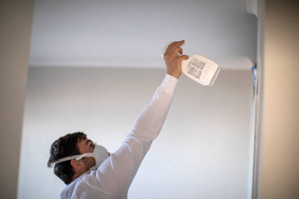 Best Residential Mold Removal  in Jefferson, TX