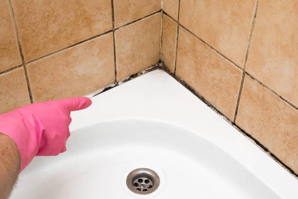 Best Residential Mold Removal  in Jefferson, TX